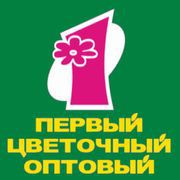 Первый цветочный оптовый Первый цветочный оптовый