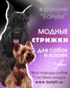 Парикмахерская для собак, кошек "Балути" Парикмахерская для собак, кошек "Балути"
