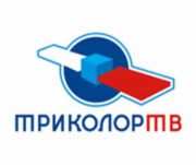 Спутниковые телесистемы Спутниковые телесистемы