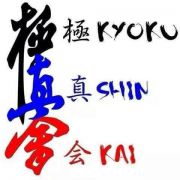 Каратэ kyokushinkai и ударный рукопашный бой