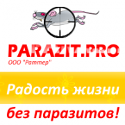 ООО "Раттер" ООО "Раттер"