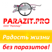 ООО "Раттер"